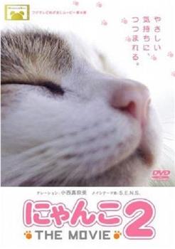 猫咪物语2观看