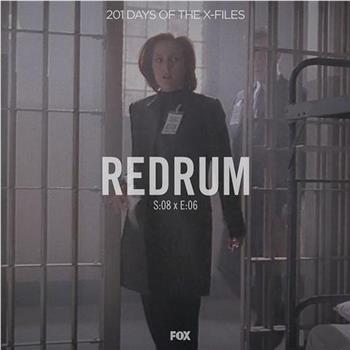 "The X Files" SE 8.6 Redrum观看