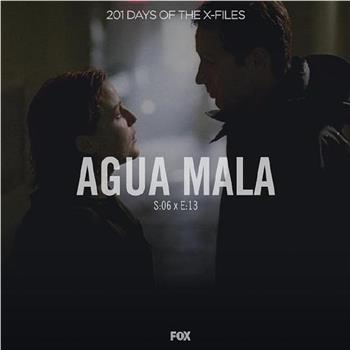 "The X Files" SE 6.14 Agua Mala观看