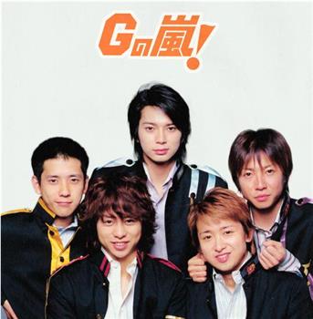 Gの嵐观看