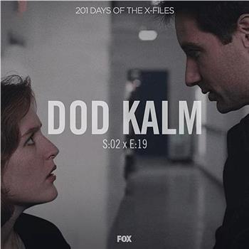 "The X Files"  Season 2, Episode 19: Død Kalm观看