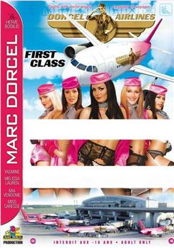 Dorcel Airlines: First Class观看