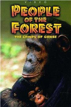 People of the Forest: The Chimps of Gombe观看