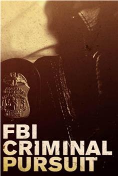 FBI：罪案追踪 第一季观看