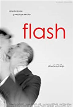 Flash观看