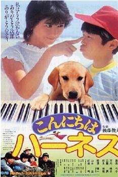 导盲犬哈斯蒂观看