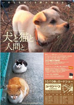 いぬとねことにんげんと观看