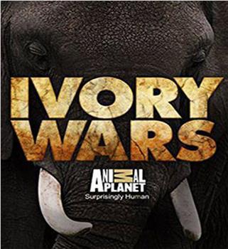 ivory wars观看