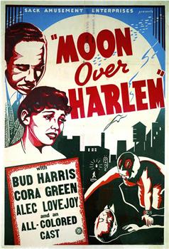 Moon Over Harlem观看