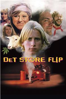 Det Store Flip观看