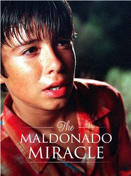 The Maldonado Miracle观看