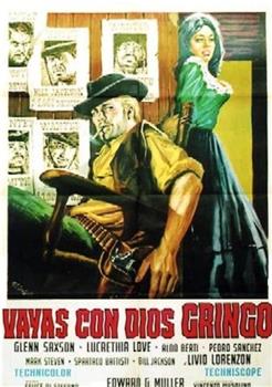 Vaya con dios gringo观看