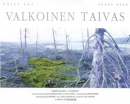 Valkoinen taivas观看