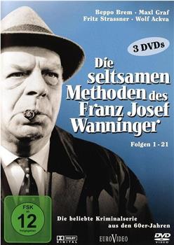 Die seltsamen Methoden des Franz Josef Wanninger观看