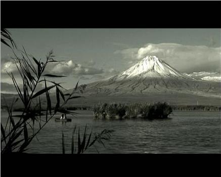 Ararat: 14 Views观看