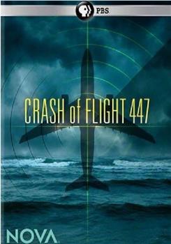 PBS NOVA: Crash of Flight 447观看