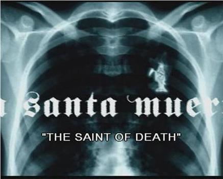 La Santa Muerte观看