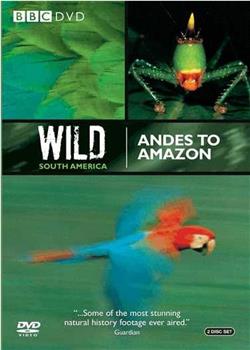 Andes to Amazon观看