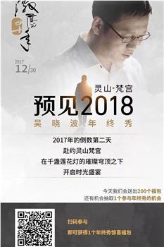 吴晓波年终秀：预见2018观看