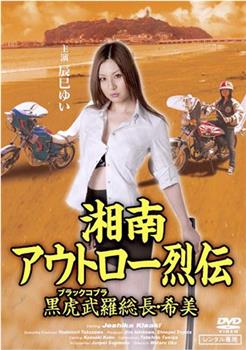 湘南アウトロー烈伝 黒虎武羅総長・希美观看