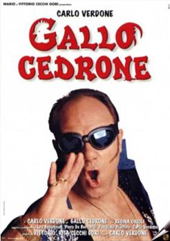 Gallo Cedrone观看