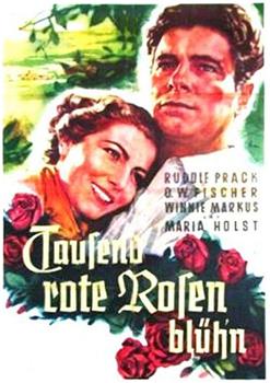 Tausend rote Rosen blüh'n观看