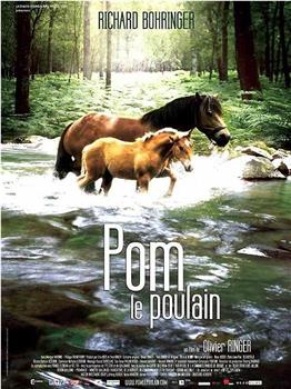 Pom, le poulain观看