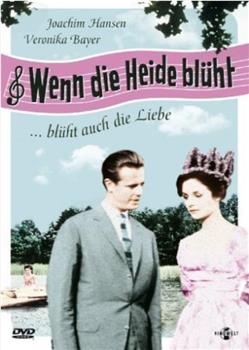 Wenn die Heide blüht观看