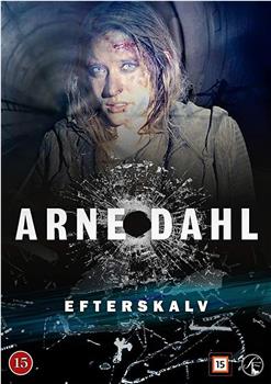 Arne Dahl: Efterskalv观看