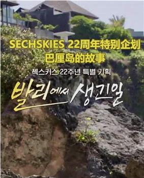 巴厘岛的故事 SECHSKIES22周年特别企划观看