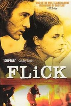 Flick观看