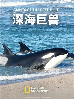 深海巨兽观看