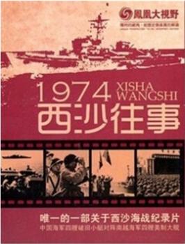 凤凰大视野：1974西沙往事观看