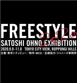 智とめぐる『FREESTYLE 2020 SATOSHI OHNO EXHIBITION』＠東京シティビュー观看