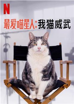 最爱喵星人：我猫威武观看