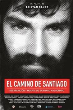 El Camino de Santiago观看