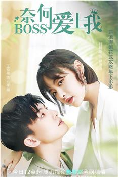 奈何BOSS爱上我观看