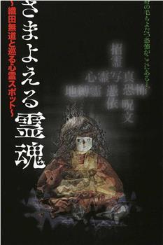 さまよえる霊魂~織田無道と巡る心霊スポット~观看