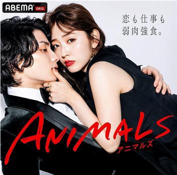 ANIMALS 归国篇观看