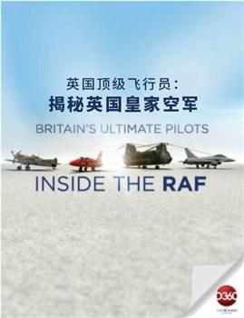 英国顶级飞行员：揭秘英国皇家空军观看