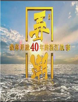 弄潮：改革开放40年的浙江故事观看