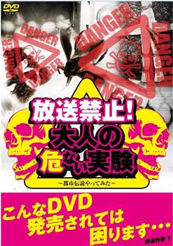 放送禁止！大人の危ない実験 ~都市伝説やってみた~观看