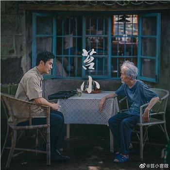 苔小观看