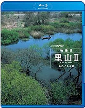 映像诗：日本里山神秘水上花园 2观看