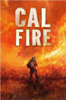 Cal Fire Season 1观看