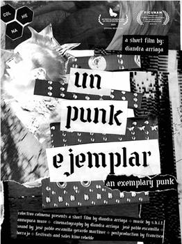 Un punk ejemplar观看