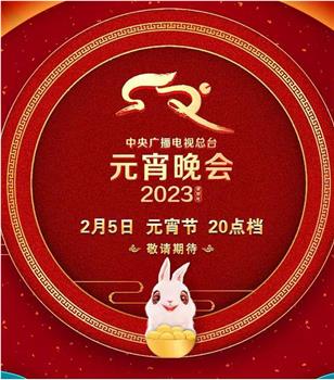 中央广播电视总台2023年元宵晚会观看