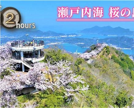 ドキュメント72時間：瀬戸内海 桜の島で观看