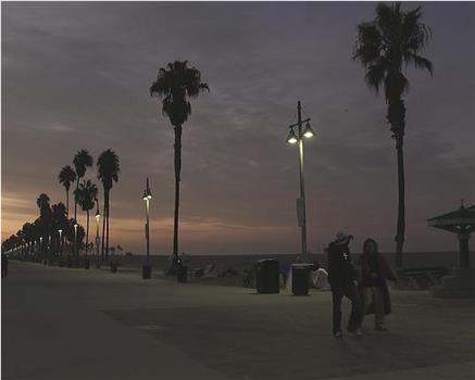 Venice Beach, CA.观看