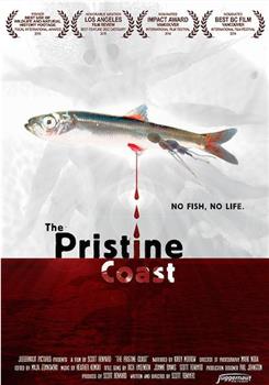 The Pristine Coast观看